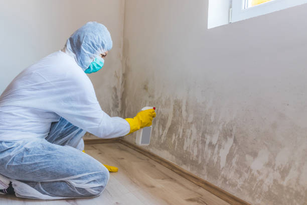 Hvac And Air Duct Mold Remediation inspection of HVAC system in Souderton